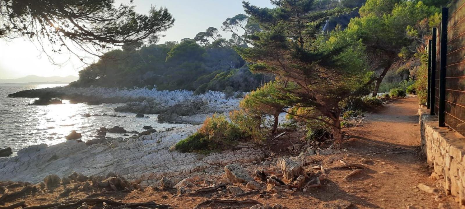 Studio Sun-Beach Avec Parking Et Jardin - 500M Des Plages De Juan Les Pins Antibes Bagian luar foto