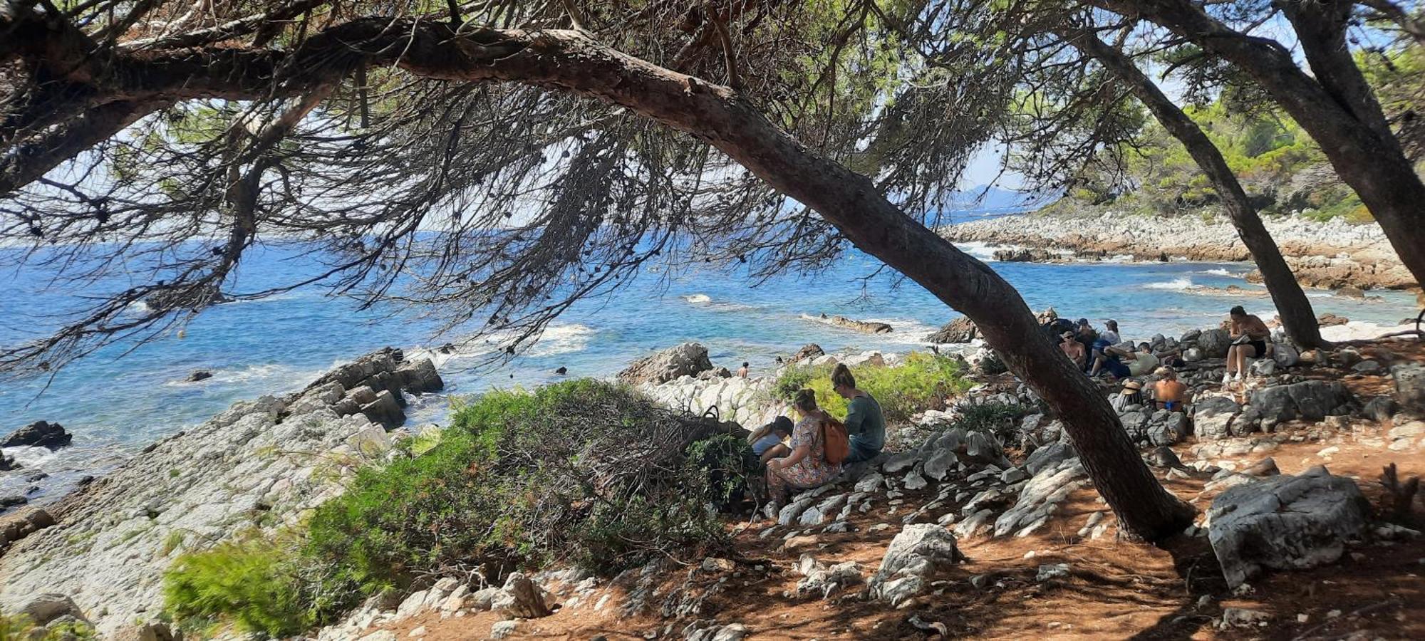 Studio Sun-Beach Avec Parking Et Jardin - 500M Des Plages De Juan Les Pins Antibes Bagian luar foto